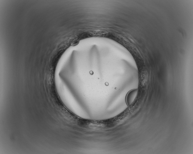 X0000111190515200907221112