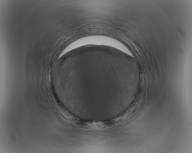 X0000111190517200907221112