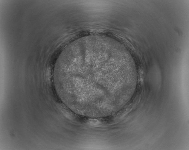 X0000111190519200907221112