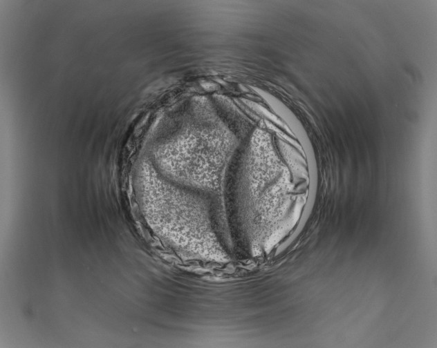 X0000111190520200907221112