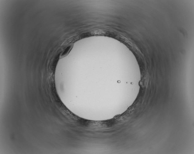 X0000111190521200907221112