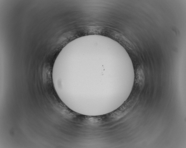 X0000111190522200907221112