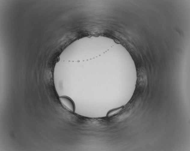 X0000111190523200907221112