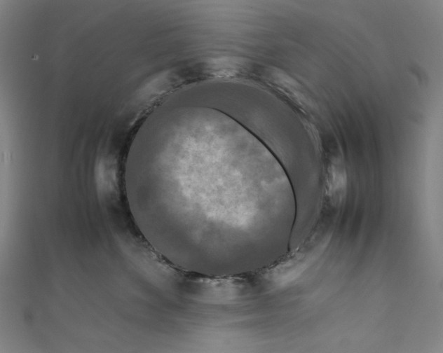 X0000111190524200907221112