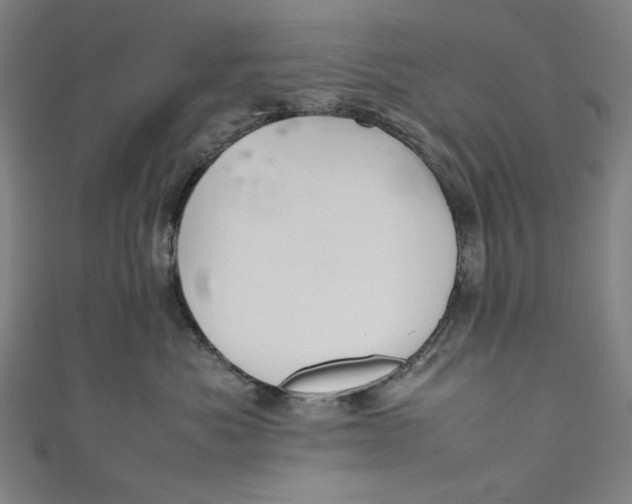 X0000111190525200907221112