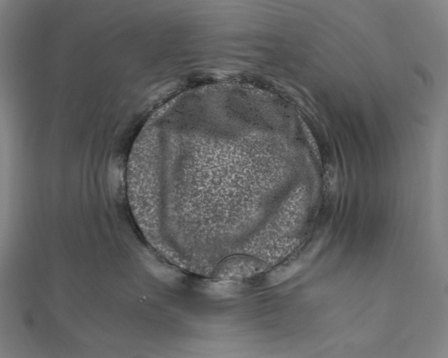 X0000111190527200907221112