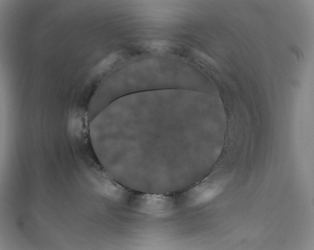 X0000111190528200907221112