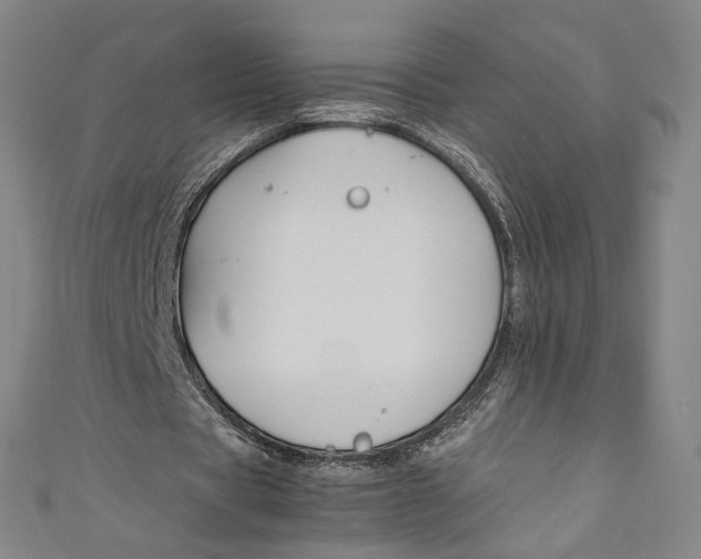 X0000111190529200907221111