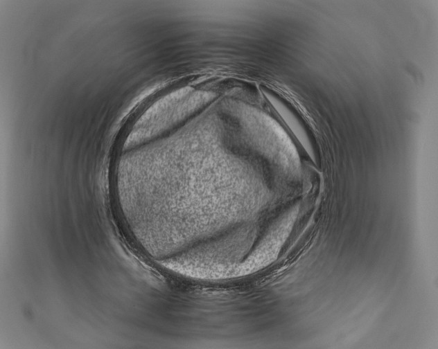 X0000111190531200907221111