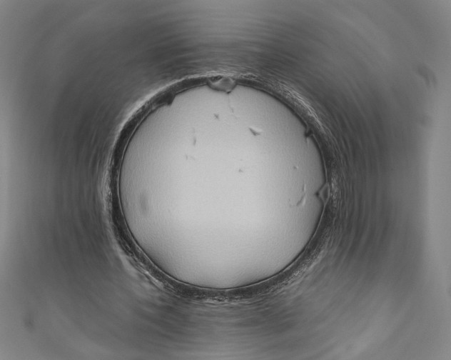 X0000111190532200907221111