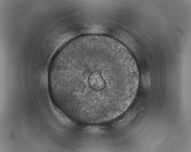 X0000111190534200907221111