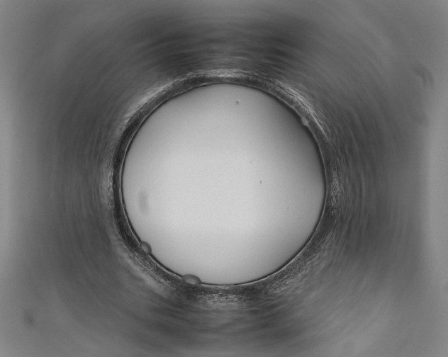 X0000111190535200907221111