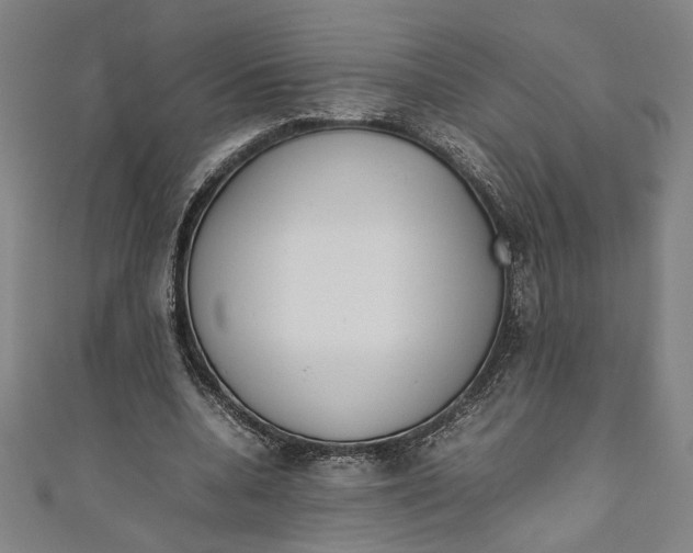 X0000111190536200907221111