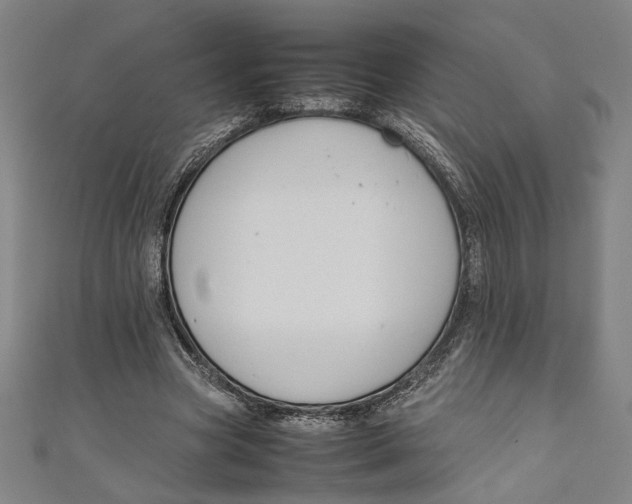 X0000111190537200907221111