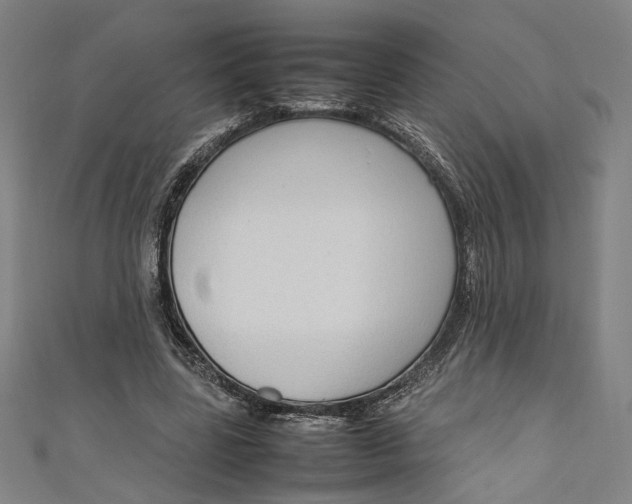 X0000111190539200907221111