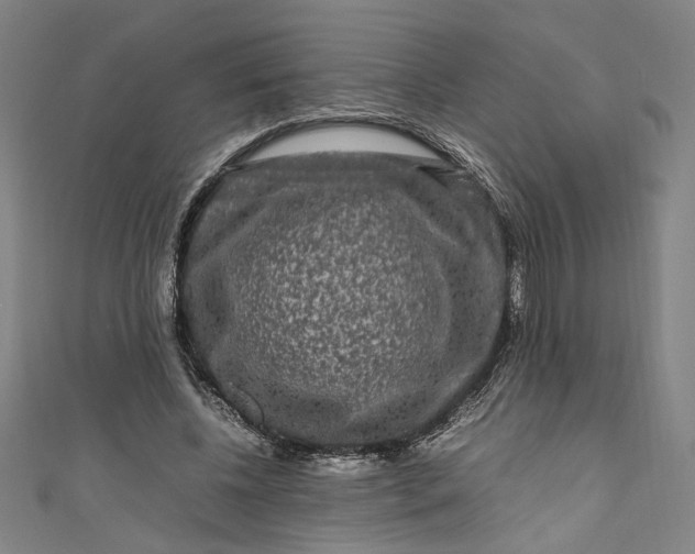 X0000111190540200907221111