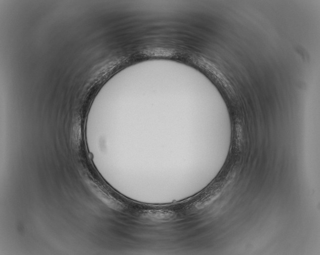 X0000111190541200907221111