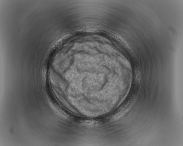 X0000111190542200907221111