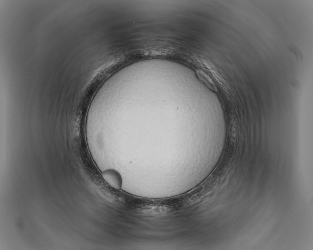 X0000111190543200907221111