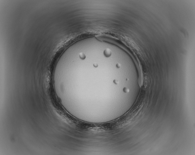 X0000111190544200907221111