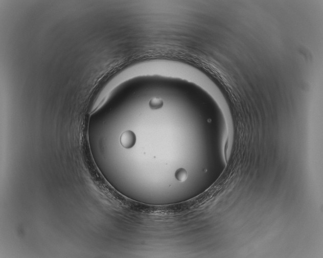 X0000111190546200907221111