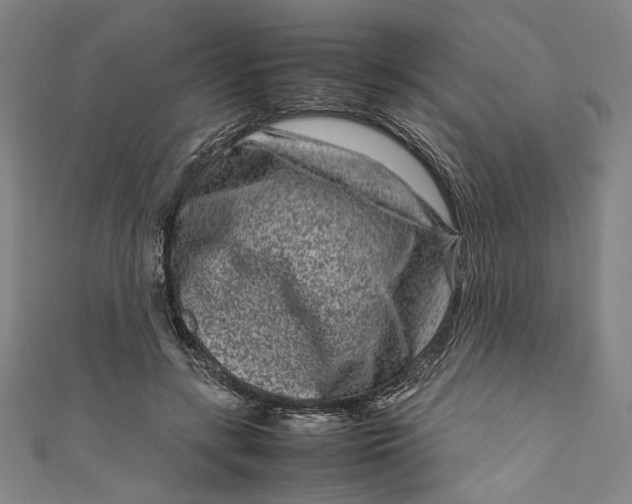 X0000111190547200907221111