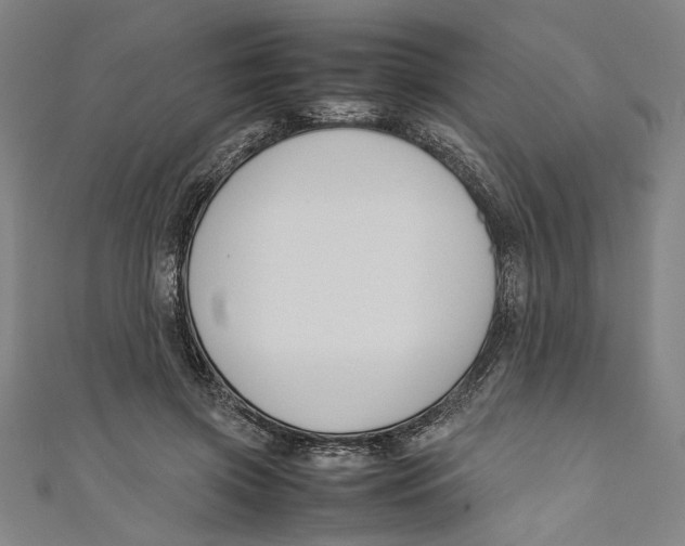 X0000111190549200907221111