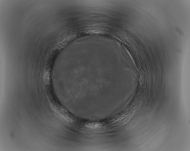 X0000111190551200907221111