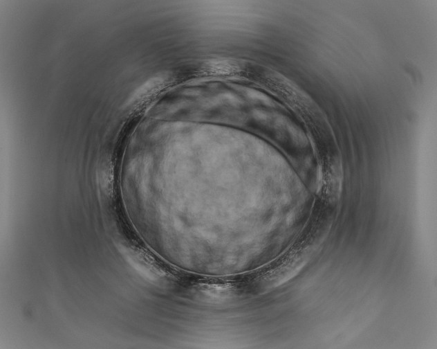 X0000111190552200907221111