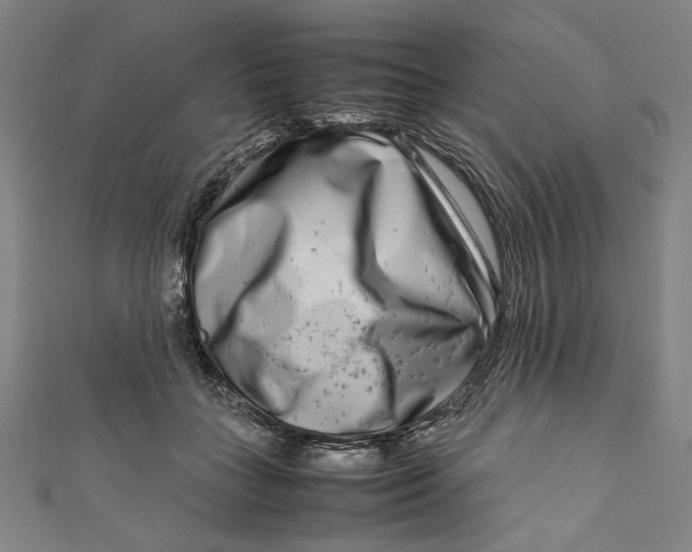 X0000111190555200907221111