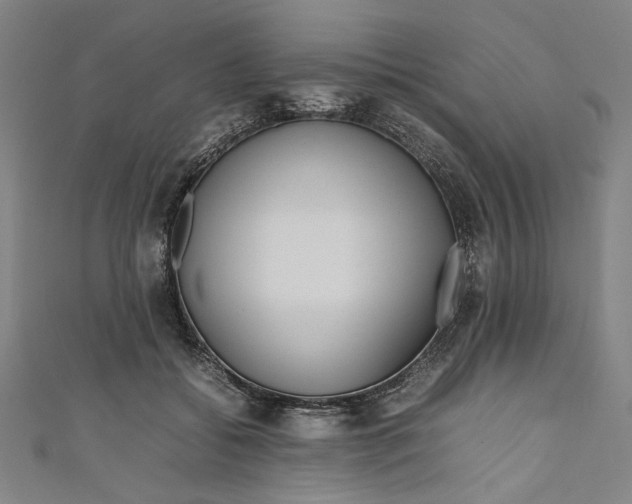 X0000111190556200907221111