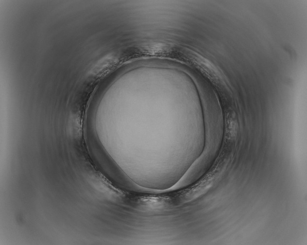 X0000111190558200907221111