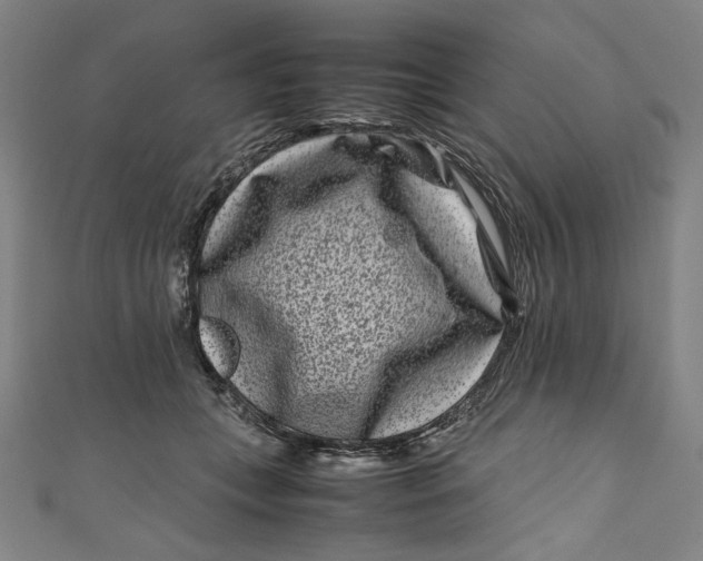 X0000111190559200907221111