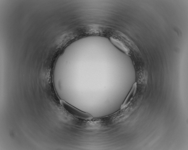 X0000111190560200907221111