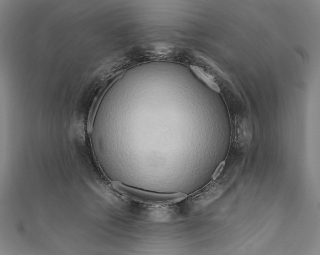 X0000111190562200907221111