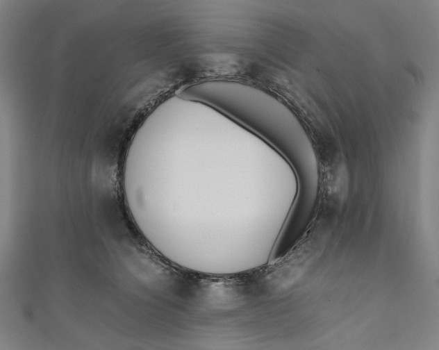 X0000111190564200907221111