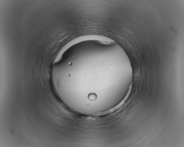 X0000111190566200907221111