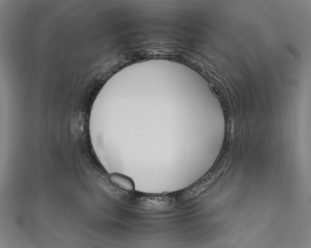 X0000111190567200907221111