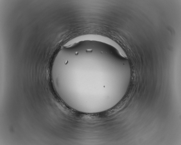 X0000111190568200907221112