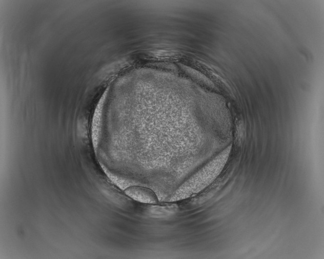 X0000111190571200907221112