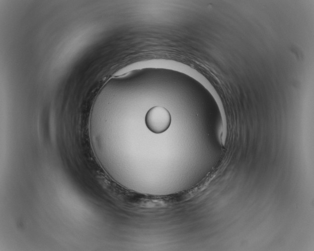 X0000111190572200907221112