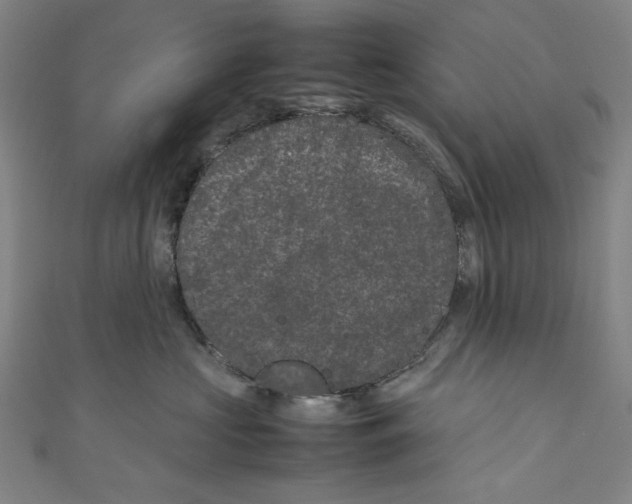 X0000111190573200907221112