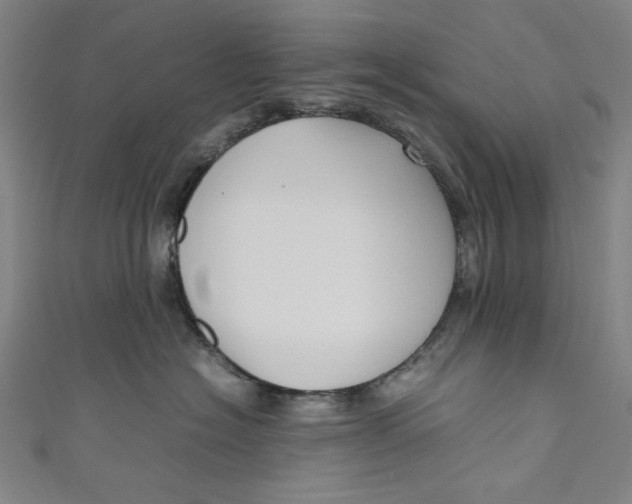 X0000111190574200907221112