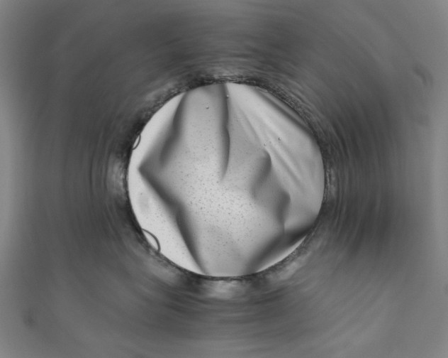 X0000111190575200907221112