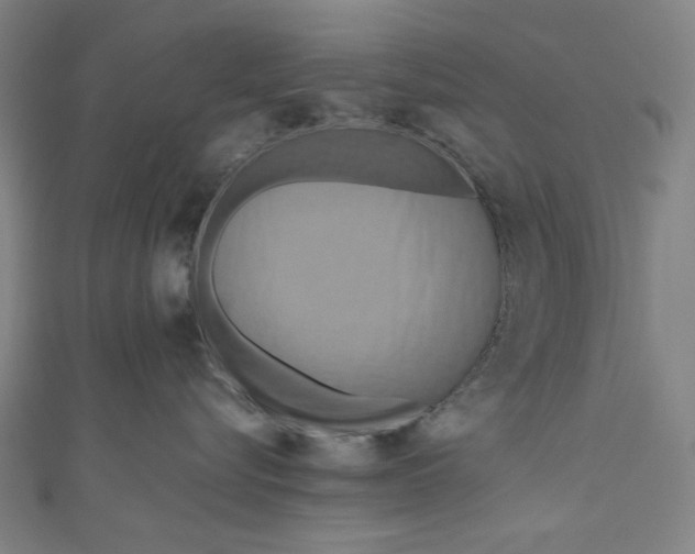 X0000111190576200907221112