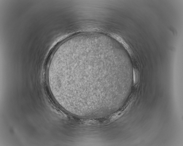 X0000111190579200907221111