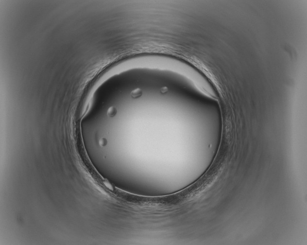 X0000111190581200907221111