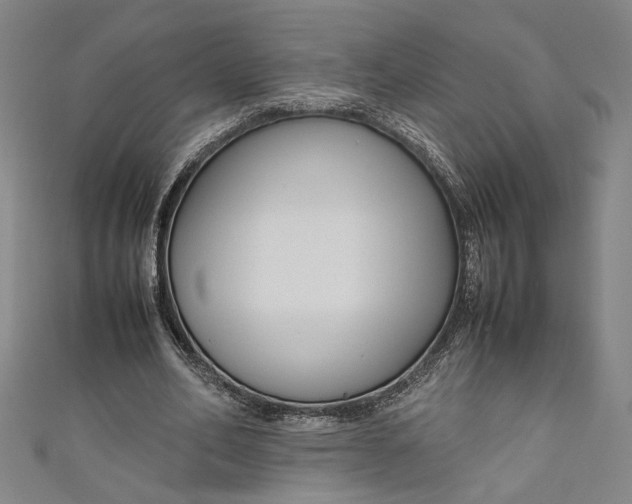 X0000111190582200907221111