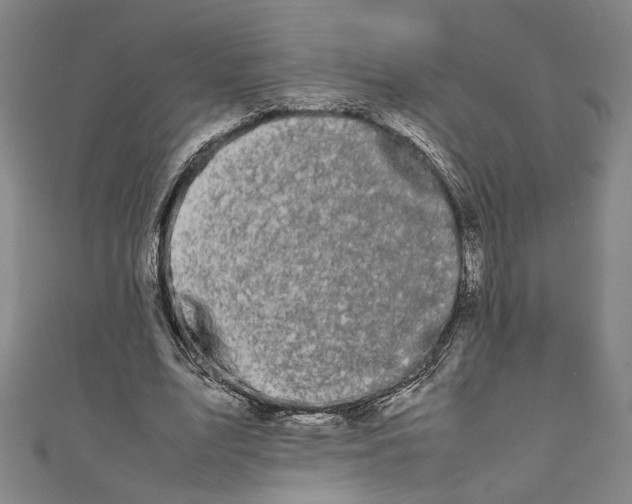 X0000111190583200907221111