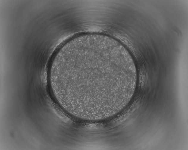 X0000111190584200907221111